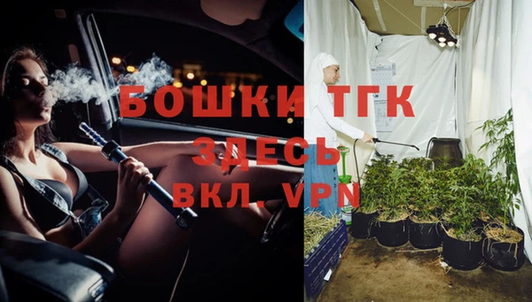 шишки Пестово