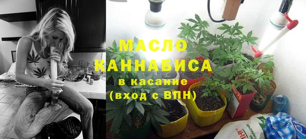 амф Пересвет