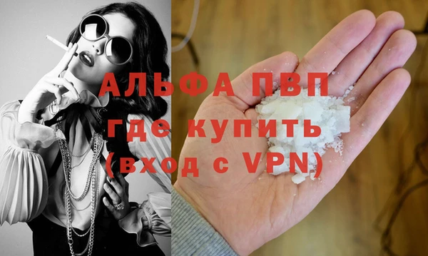 индика Баксан