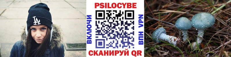 Галлюциногенные грибы мухоморы  купить  цена  Энем 